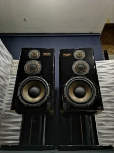 DIATONE DS-10000/ds10000 Klavier system Speaker * Almost Unused - Picture 1 of 10