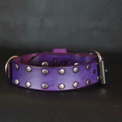 Collar de perro grande. Cuero tachonado. 1,5” pulgadas de ancho. Rosa. Púrpura Foto 1 de 4