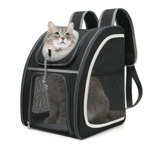 Rucksack für Hund Katze Gepolstert Hunderucksack bis 9kg Haustier Tasche 2025 - Bild 1 von 8