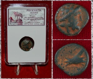 Moneta antica FENICIA ARADOS Zeus e Galley bronzo - Foto 1 di 4