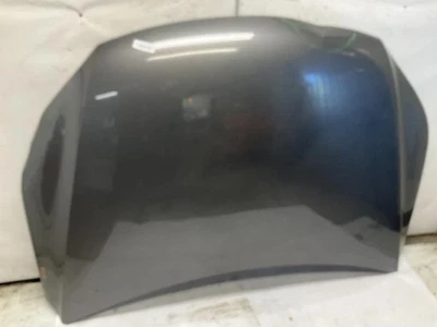 09-18 Volkswagen Tiguan Front Hood Bonnet T — 第 1/4 张图片