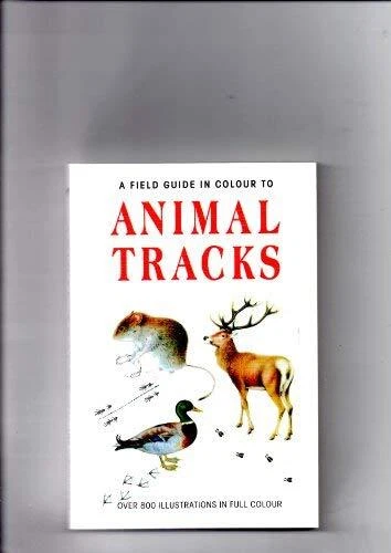 Animal Tracks By Miroslav Bouchner - Image 1 of 1