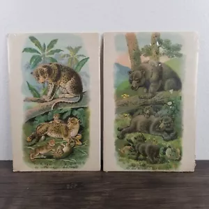 Antique Children’s Prints 1890s Chromolithograph Bear & Jaguar Family Set Pair 2 - Picture 1 of 10