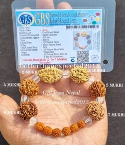 Bracciale Rudraksha 2 3 4 5 6 7 Mukhi (Faccia) Perline Mala - Certificato in Laboratorio - Foto 1 di 3