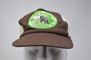 Vintage Aubrey Falls Snapback Hat Brown Embroidered Cap Canada Nylon - Picture 1 of 4
