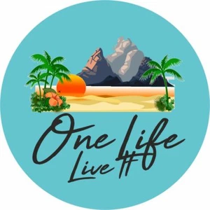 One Life Live it  Vinyl Sticker Camper camping Skate Van Life Decal T4 T5  - Picture 1 of 1