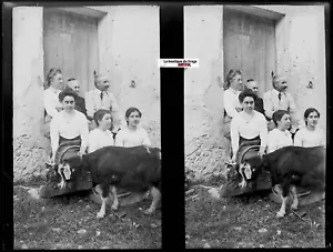 Famille, ferme, Plaque verre photo ancienne, négatif noir & blanc 9x12 cm - Photo 1 sur 2