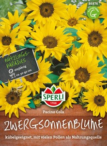 Zwerg-Sonnenblume 'Pacino Cola' - Helianthus annuus, Bienenweide Samen 86876