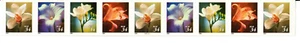 Scott 3478-3465 34¢ Four Flowers P#B2222 MNH Free US Shipping - Picture 1 of 1