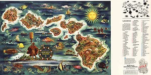 Póster de arte de pared vintage de islas hawaianas con mapa pictórico de Dole decoración - Imagen 1 de 2