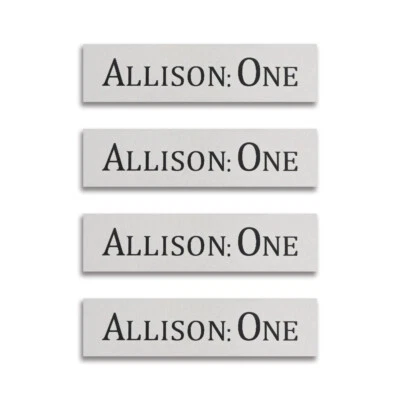 Logotipo de altavoz Allison One emblema personalizado grabado 63 mm (2,48") X 16 mm (0,63") Foto 1 de 4