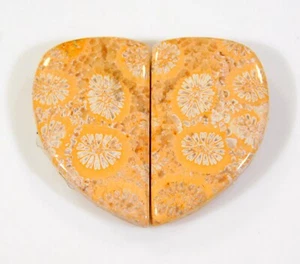 Par de piedras preciosas fosilizadas cabujón de lujo coral fósil natural de 22 quilates DI = 06 - Imagen 1 de 6