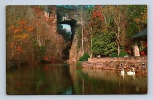 Natural Bridge Virginia Postcard PE 146 Unposted  - Picture 1 of 2