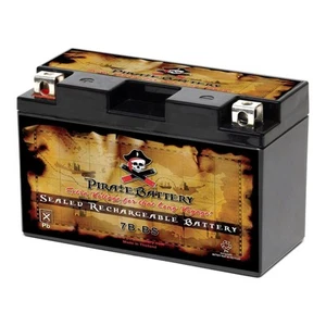 YT7B-BS High Performance - Maintenance Free - Sealed AGM Motorcycle Battery - Picture 1 of 7