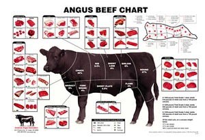 Angus Beef Cuts Poster Art Metal Print Choose a Size 8"x12" 12"x16" Sign Meat - Picture 1 of 4