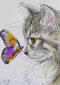 ACEO cat watercolor pencil by the author original 3,5"х2,5" 9x6cm not print - Picture 1 of 1