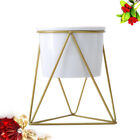  Small Lamp Shades Strawberry Baskets Hydroponic Vase Household