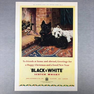 Magazine Ad BLACK & WHITE Scotch Whisky Scottish Westie Terrier VTG 1953 XMAS - Image 1 of 4