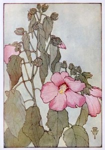 Vintage Floral Print, Pink Mallow, Keramic Studio 1911 botanical art 13x10 - Picture 1 of 3