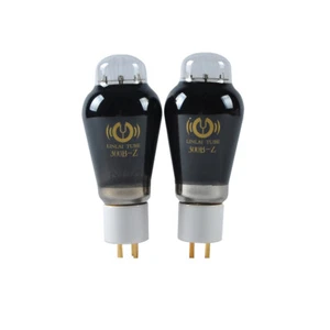 1 Paar Keramik LinLai Vacuum 300B-Z AudioTube Basis getestet Gitarrenverstärker - Bild 1 von 8