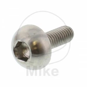 1 BRAKE DISC BOLT M6X1.00 17MM TITANIUM FOR HONDA 1800 Valkyrie Rune 2014-201 - Picture 1 of 1