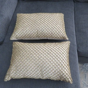 (2) Pier 1 imports decorative pillows beige with gold net accent EUC 17" x 11" - Picture 1 of 7