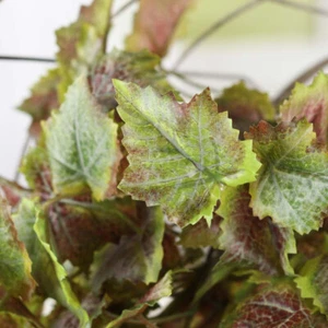 17" Real Touch Lifelike Artifical Grape Ivy Vine Bush - Picture 1 of 3