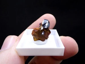 ✅ FDMINERALS ✅ 👉 CRYSTALLIZED RUTILE ON MATRIX 👈 Samuteba Mine, Zambia - af91 - Picture 1 of 8