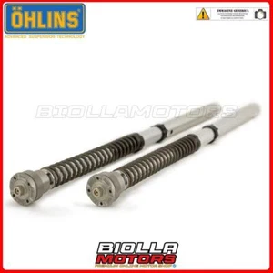 FGK 229 CARTUCCIA FORCELLA OHLINS DUCATI V4 Panigale (forcella showa) 2021 - 30 - Foto 1 di 5
