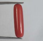 Natural Cylindrical 5.10 Ct Italian Red Coral Loose Gemstone Certified B21022