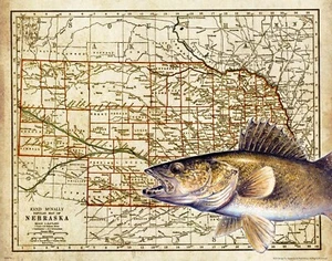 Walleye Fishing Nebraska State Map Art Print Vintage Lures Cabin Wall Decor - Picture 1 of 1
