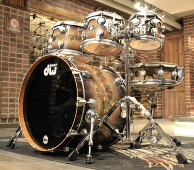 Juego de batería DW Collector's 30th Anniversary Timeless Timber Birch 7 piezas - Usado Foto 1 de 4