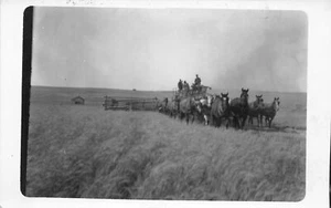 F42/ Occupational RPPC Postcard c1910 Horses Farming Wheat Harvest 2 - Picture 1 of 4