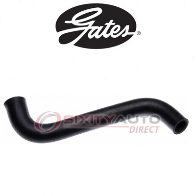 Gates Upper Radiator Coolant Hose for 2001 Ford F-100 Ranger 2.3L L4 - rf Foto 1 de 4