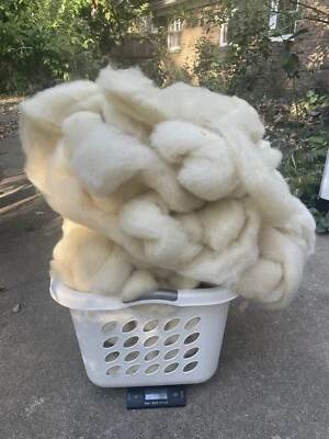 4+ Lb Lot Michigan USA Wool, Light Cream Roving Spin Felt Dye - Image 1 of 4