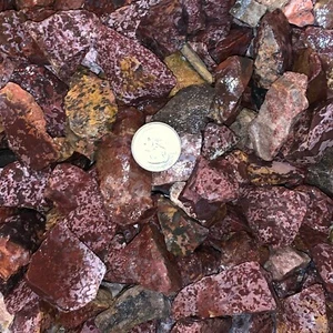 3000 Carat Lots of Tiger Jasper Rough - Plus a FREE faceted Gemstone - Very Nice - Picture 1 of 9