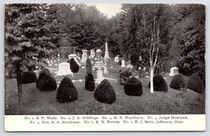 Jefferson OH Cemetery~Giddings~Woodbury~Northway~Judge Howland~Norton~Wade B&W - Picture 1 of 2