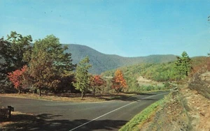 Cartolina Skyline Drive sulle Blue Ridge Mountains a Shenandoah NP Virginia - Foto 1 di 2