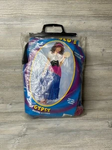 Deluxe Gypsy Adult OSFA Halloween Costume by Franco's - Picture 1 of 3