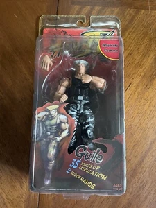 Street Fighter IV Guile Alternate Colors 7" Action Figure (NECA, 2009) NEW - Picture 1 of 9