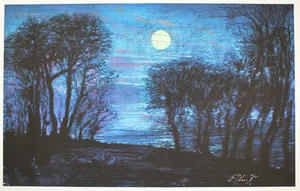 Ernst Fuchs handsigniert nummeriert Starnberger See I - Bild 1 von 1