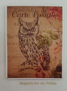 VINTAGE FRENCH POSTCARD COLLECTION 'Owl' (5) FRIDGE MAGNET - M630 F - Picture 1 of 1
