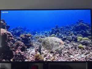 Sony Bravia 49-inch 4K Smart TV - Picture 1 of 5