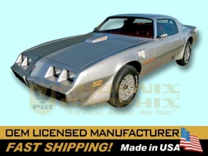 1978 1979 1980 Trans Am T/A 8 piezas nombres calcomanías rayas kit (sin capó pájaro) 8 piezas - Imagen 1 de 1