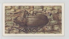 1963 Brooke Bond Wildlife in Danger Tea Giant Fijian Wood-Boring Beetle #49 1i3