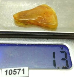Ostseer Bernstein 1,3g hochwertig - echter Naturstein  - Bild 1 von 4