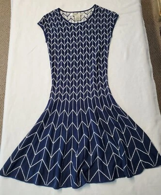 Max Studio Skater Sweater Dress NWOT Size S Navy & White - Image 1 of 4