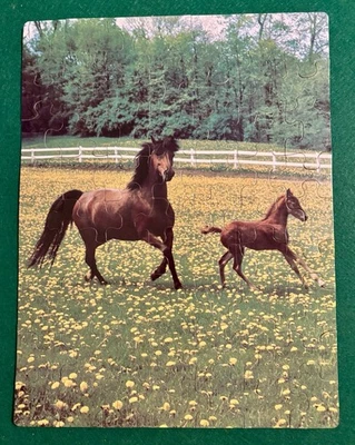 Preowned & Complete - Vintage Golden Babes Jigsaw Puzzle Horse And Foal Worn Box - Image 1 of 4