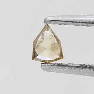 Protezione Forma Marrone Colore 0.09ct Brillante Taglio Diamante Naturale Sfuso - Foto 1 di 12