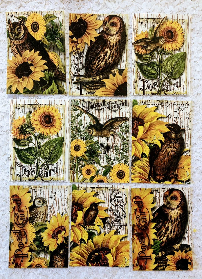 9 girasoles y búhos de colección ~ adornos para hacer tarjetas de felicitación ~ embellecedores ~ artesanías ~ 240N Foto 1 de 1